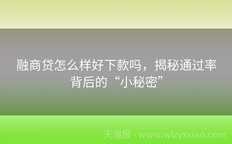 融商贷怎么样好下款吗，揭秘通过率背后的“小秘密”