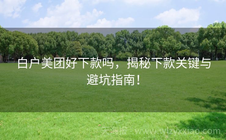 白户美团好下款吗，揭秘下款关键与避坑指南！