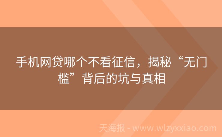 手机网贷哪个不看征信，揭秘“无门槛”背后的坑与真相