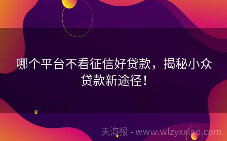 哪个平台不看征信好贷款，揭秘小众贷款新途径！