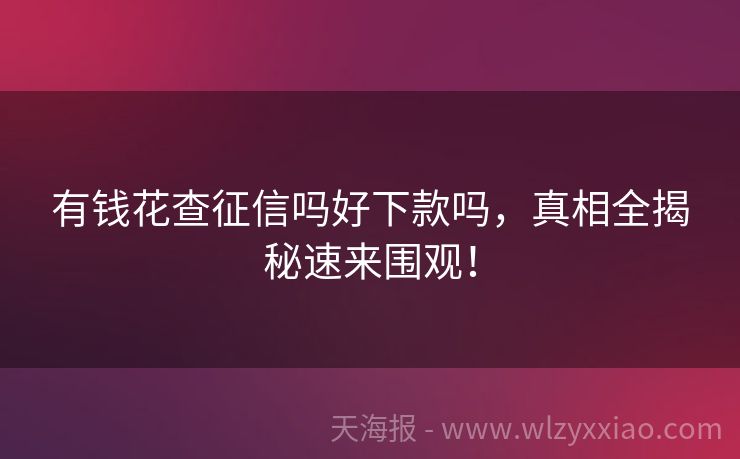 有钱花查征信吗好下款吗，真相全揭秘速来围观！