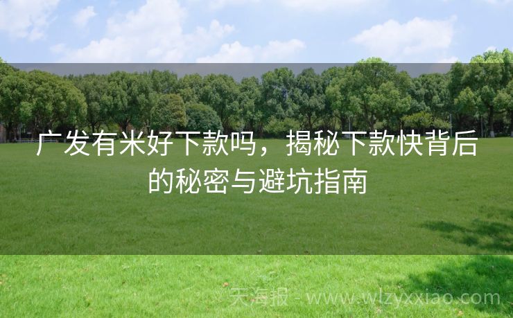 广发有米好下款吗，揭秘下款快背后的秘密与避坑指南