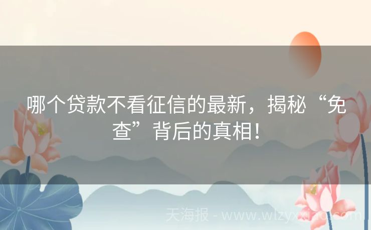 哪个贷款不看征信的最新，揭秘“免查”背后的真相！