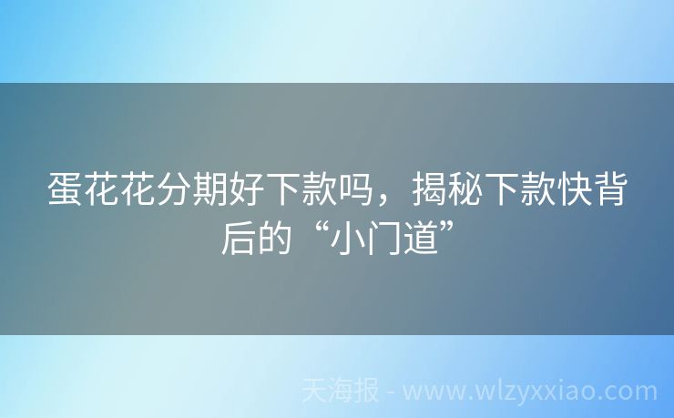 蛋花花分期好下款吗，揭秘下款快背后的“小门道”