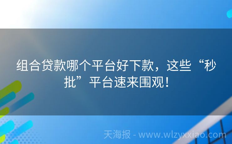 组合贷款哪个平台好下款，这些“秒批”平台速来围观！
