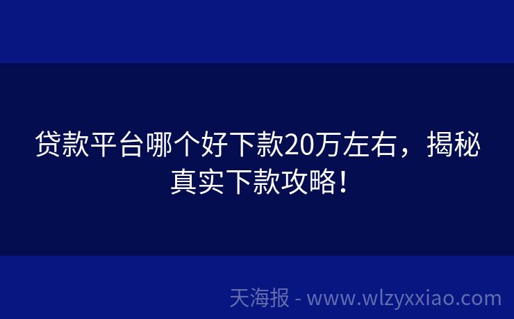 贷款平台哪个好下款20万左右，揭秘真实下款攻略！