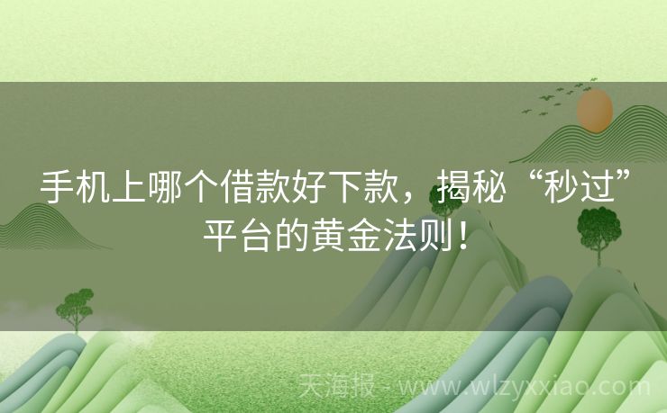 手机上哪个借款好下款，揭秘“秒过”平台的黄金法则！