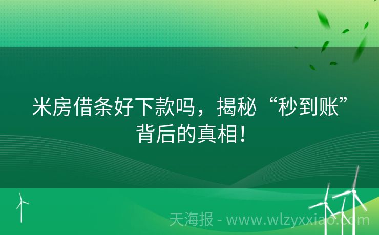 米房借条好下款吗，揭秘“秒到账”背后的真相！