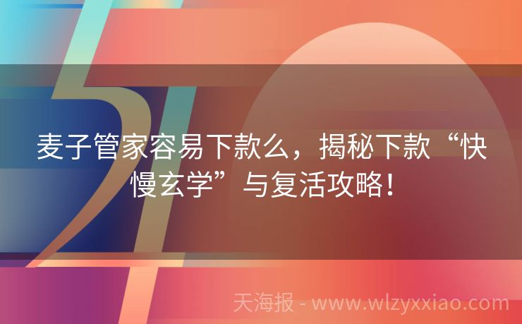 麦子管家容易下款么，揭秘下款“快慢玄学”与复活攻略！