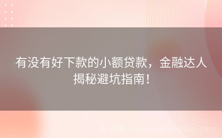 有没有好下款的小额贷款，金融达人揭秘避坑指南！
