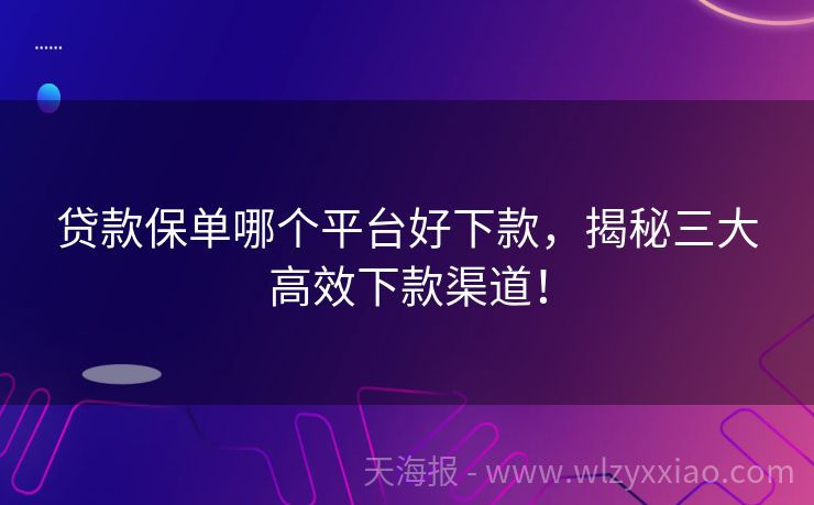 贷款保单哪个平台好下款，揭秘三大高效下款渠道！