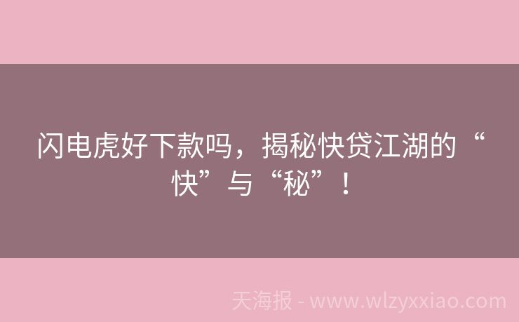 闪电虎好下款吗，揭秘快贷江湖的“快”与“秘”！