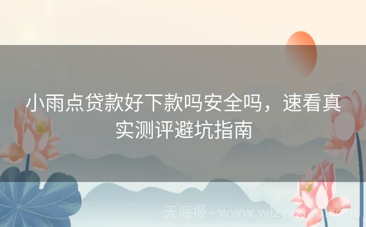 小雨点贷款好下款吗安全吗，速看真实测评避坑指南
