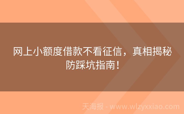 网上小额度借款不看征信，真相揭秘防踩坑指南！