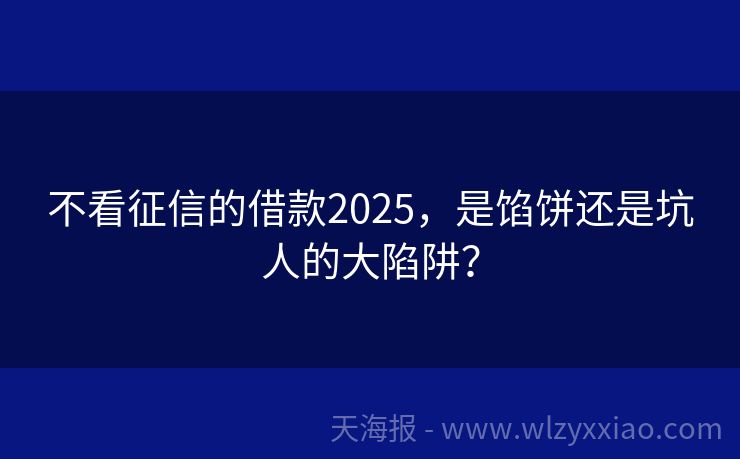 不看征信的借款2025，是馅饼还是坑人的大陷阱？