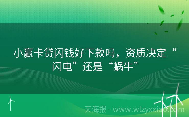 小赢卡贷闪钱好下款吗，资质决定“闪电”还是“蜗牛”