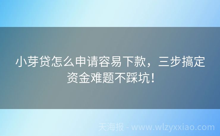 小芽贷怎么申请容易下款，三步搞定资金难题不踩坑！