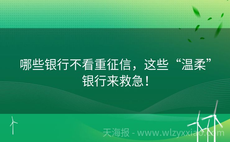 哪些银行不看重征信，这些“温柔”银行来救急！