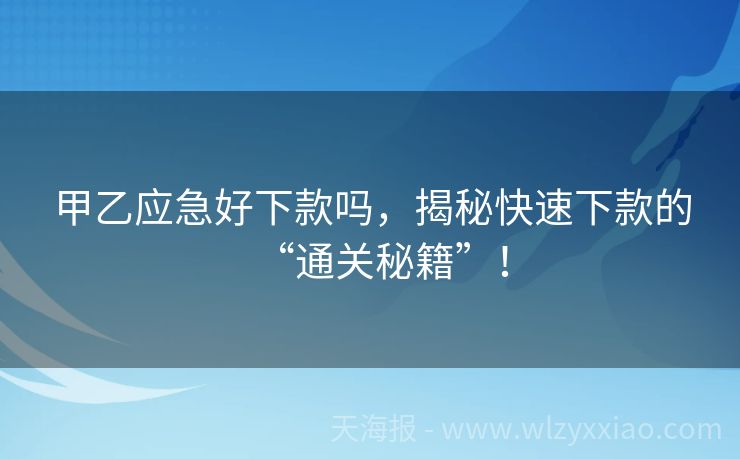 甲乙应急好下款吗，揭秘快速下款的“通关秘籍”！