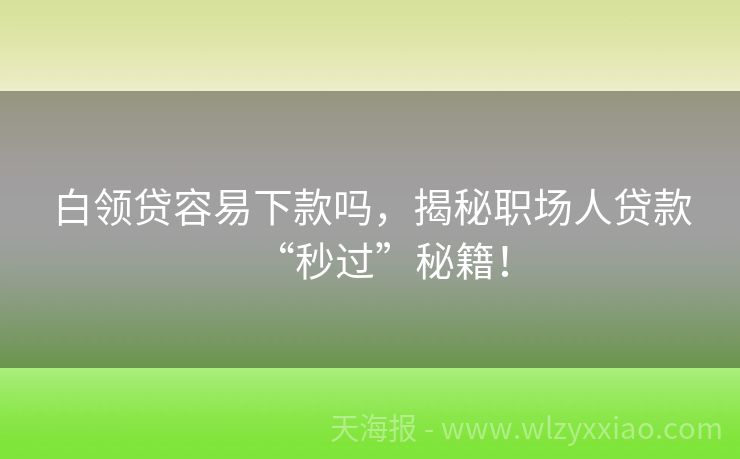 白领贷容易下款吗，揭秘职场人贷款“秒过”秘籍！