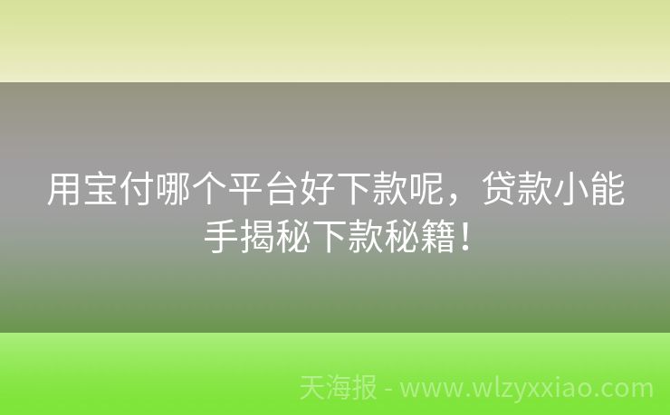 用宝付哪个平台好下款呢，贷款小能手揭秘下款秘籍！