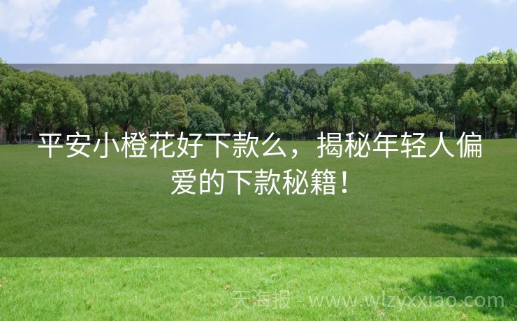 平安小橙花好下款么，揭秘年轻人偏爱的下款秘籍！