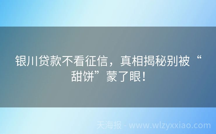 银川贷款不看征信，真相揭秘别被“甜饼”蒙了眼！