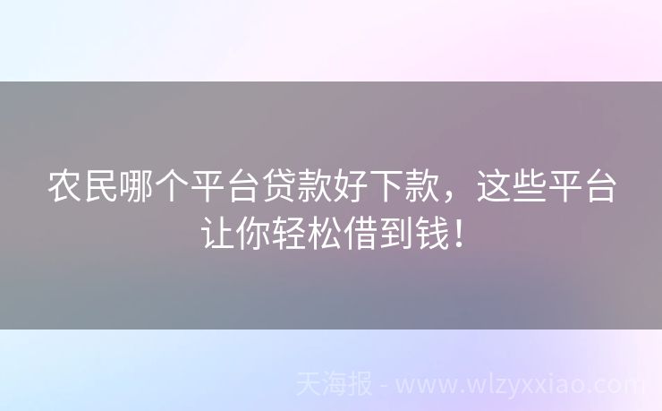 农民哪个平台贷款好下款，这些平台让你轻松借到钱！