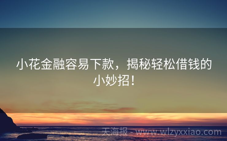 小花金融容易下款，揭秘轻松借钱的小妙招！
