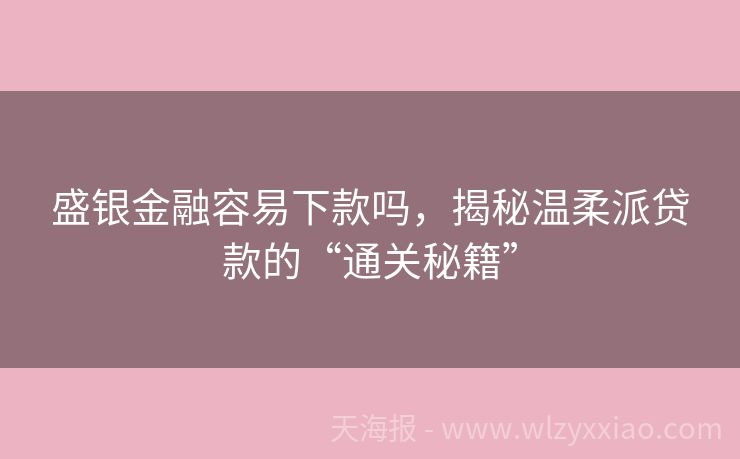 盛银金融容易下款吗，揭秘温柔派贷款的“通关秘籍”