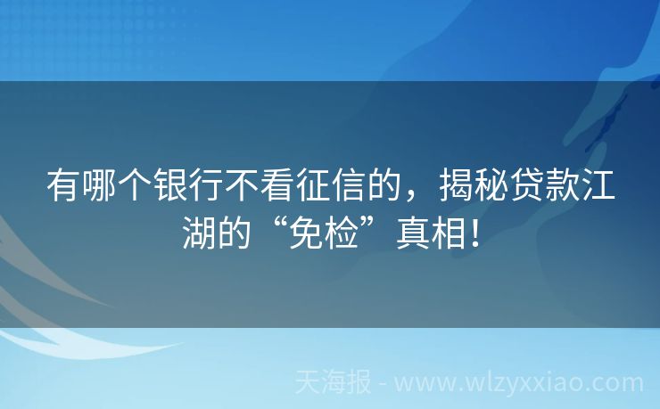 有哪个银行不看征信的，揭秘贷款江湖的“免检”真相！