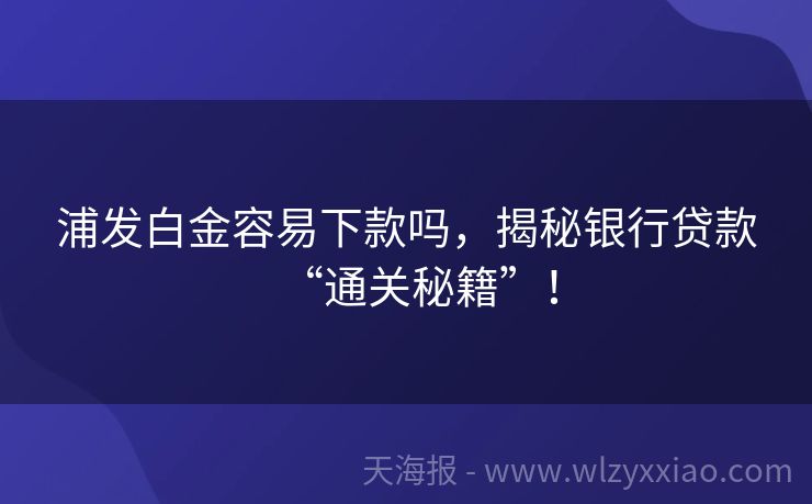 浦发白金容易下款吗，揭秘银行贷款“通关秘籍”！