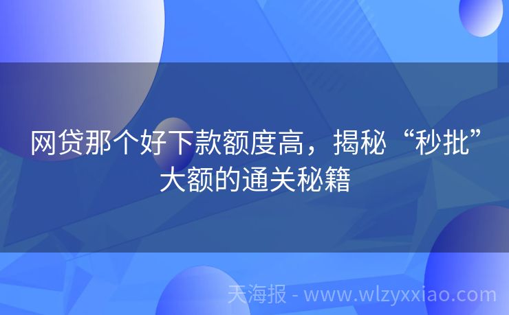 网贷那个好下款额度高，揭秘“秒批”大额的通关秘籍