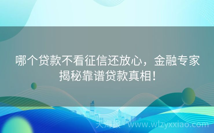 哪个贷款不看征信还放心，金融专家揭秘靠谱贷款真相！