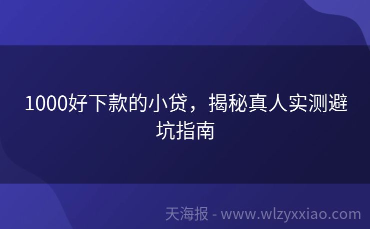 1000好下款的小贷，揭秘真人实测避坑指南