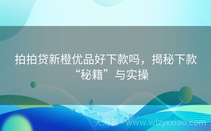拍拍贷新橙优品好下款吗，揭秘下款“秘籍”与实操