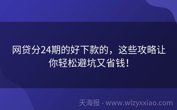 网贷分24期的好下款的，这些攻略让你轻松避坑又省钱！
