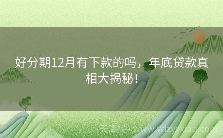 好分期12月有下款的吗，年底贷款真相大揭秘！