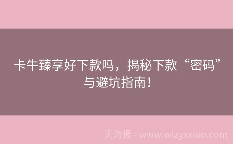 卡牛臻享好下款吗，揭秘下款“密码”与避坑指南！