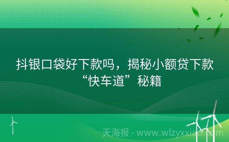 抖银口袋好下款吗，揭秘小额贷下款“快车道”秘籍