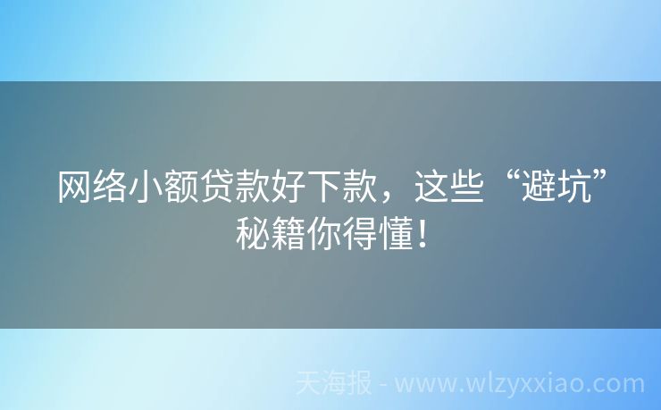 网络小额贷款好下款，这些“避坑”秘籍你得懂！