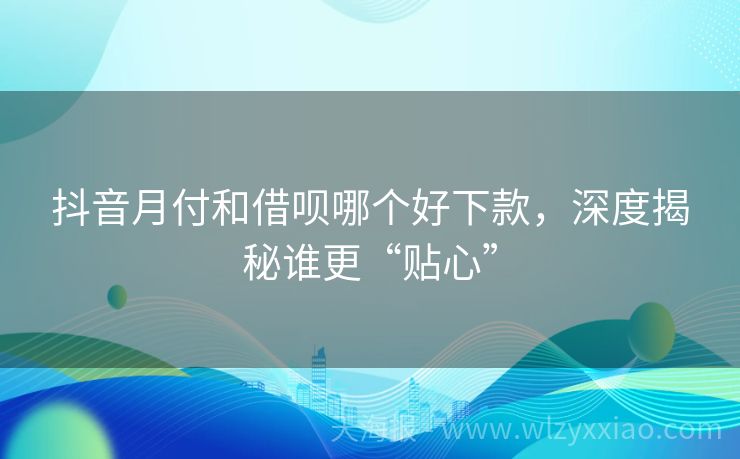 抖音月付和借呗哪个好下款，深度揭秘谁更“贴心”