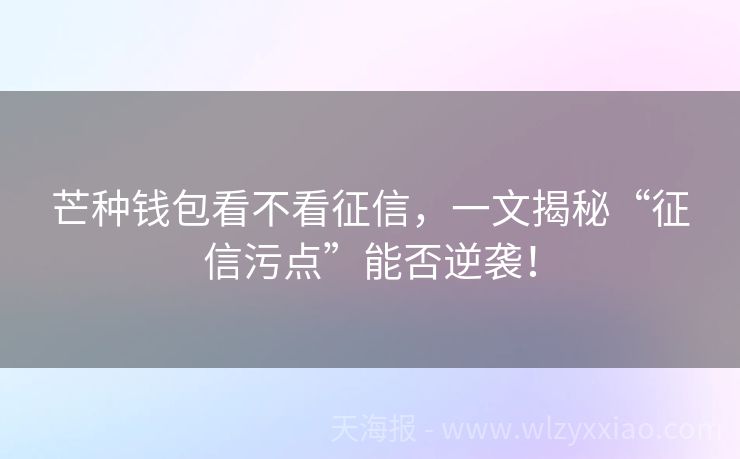 芒种钱包看不看征信，一文揭秘“征信污点”能否逆袭！