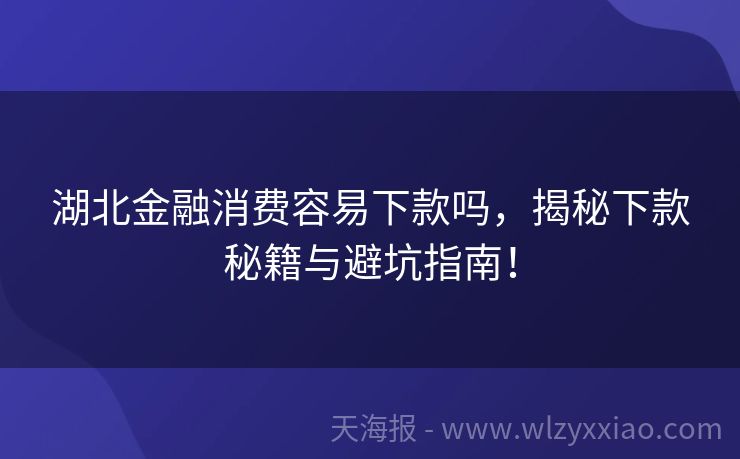 湖北金融消费容易下款吗，揭秘下款秘籍与避坑指南！