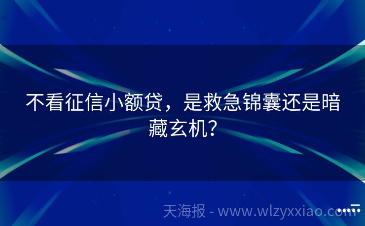 不看征信小额贷，是救急锦囊还是暗藏玄机？
