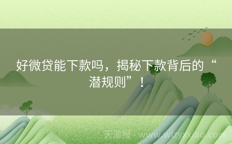 好微贷能下款吗，揭秘下款背后的“潜规则”！
