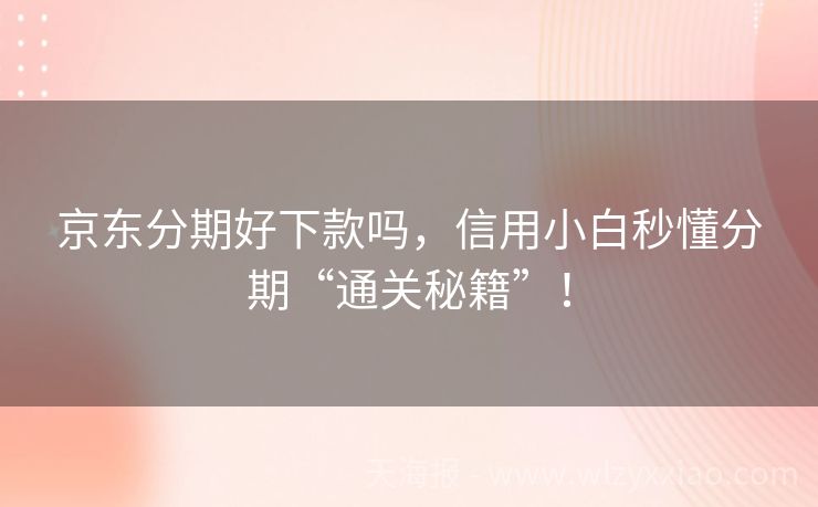 京东分期好下款吗，信用小白秒懂分期“通关秘籍”！