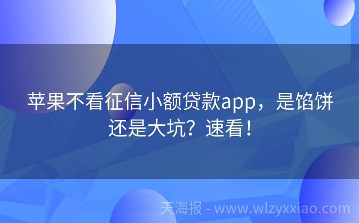 苹果不看征信小额贷款app，是馅饼还是大坑？速看！