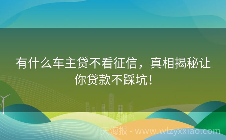 有什么车主贷不看征信，真相揭秘让你贷款不踩坑！