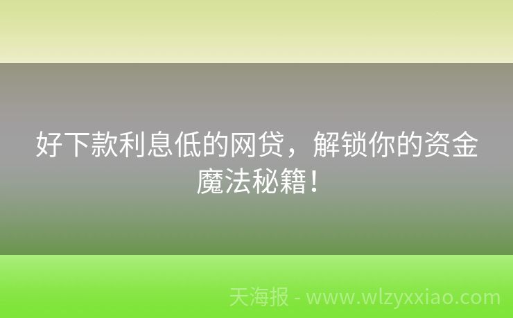 好下款利息低的网贷，解锁你的资金魔法秘籍！